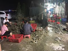 -蚝专家(北滘店)