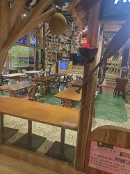 -卡通尼·Safari非洲探索乐园·生日会(金桥国际商业广场店)