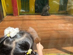 -荆州中山公园动物园