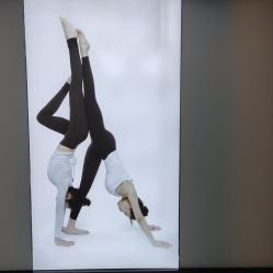 点击看大图 -A+瑜伽·普拉提