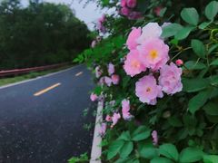 -宝界山林公园