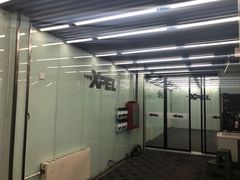 -XPEL旗舰店·汽车贴膜·隐形车衣·改色贴膜