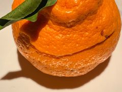 -许家菜(DT51店)