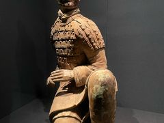 -陕西历史博物馆