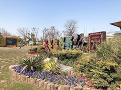 -上海长兴岛郊野公园