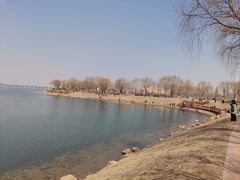-丁香湖公园