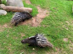 -云南野生动物园