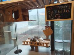 -宁波九龙湖开元度假村