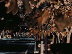 -河南省黄河迎宾馆