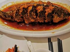 老济南糖醋鲤鱼-金春禧(世茂国际广场店)