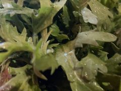 -捞王猪肚鸡火锅(昆山店)