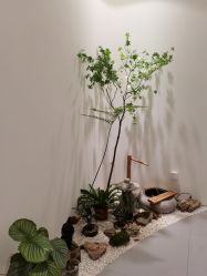 点击看大图 -RUMI日弥美容会所