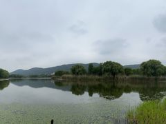 -长广溪湿地公园