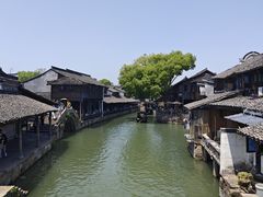 -逢源酒楼(东大街店)