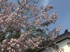 -石塘人家