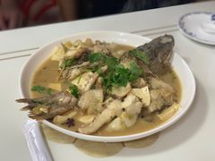 -煲来饱去冷水鱼