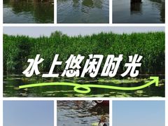 -白洋淀景区