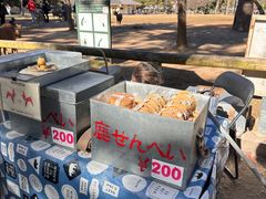 -奈良公园