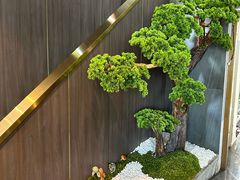 -野菌皇海景野生菌火锅(滨海大道店)