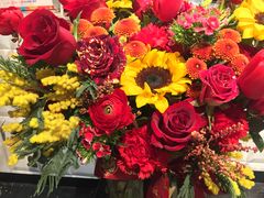 -植物学家的女儿(北马道巷店)