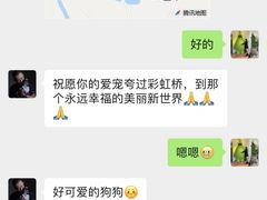 -彩虹桥宠物火化殡葬善终服务(金乐大厦店)