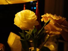 -火车头法国西餐厅