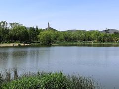 -北坞公园
