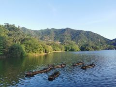 -深圳仙湖植物园