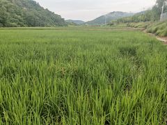 -南泥湾风景区