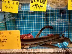 -佬太公海鸭·海鲜大排档(上海总店)