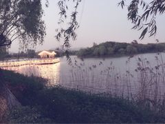 iphone_upload_pic-上海市保健医疗中心(华东疗养院)