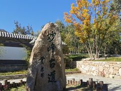 -阳台山自然风景区