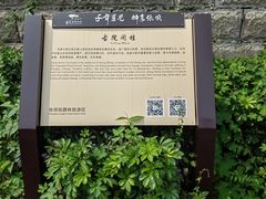 -张坝桂圆林公园