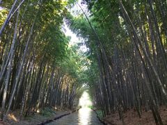 -同里国家湿地公园