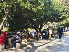 -白沙古井