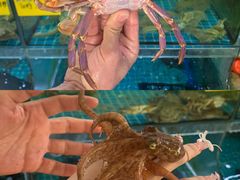-坛南湾阿强农家乐.海鲜大排档老字号(福州地标美食店)