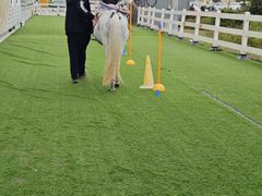 -万达广场(临港店)