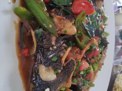 -生态苑农庄(十里画廊遇龙河店)