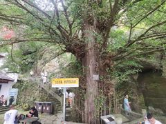 -大慈岩风景区