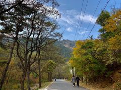 -金龙寺国家森林公园