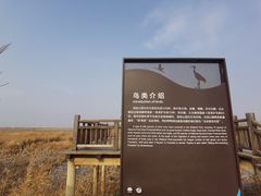 -野鸭湖国家湿地公园