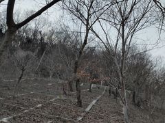 -南京市江宁方山