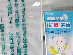 -瑞派福兴宠物医院犬猫全科·骨科·中西医结合(河东店)