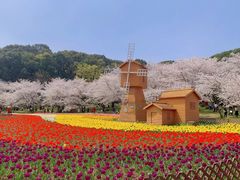 -苏州上方山国家森林公园