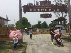-田园东方蜜桃村的田野营地