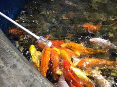 -梦幻海洋王国(吾悦广场张家港店)