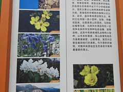 -青藏高原野生动物园