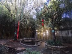 -竹泉村旅游度假区