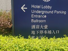 -赛瑞喜来登大酒店-盛宴自助餐厅