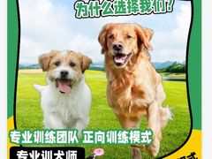 -宠物寄养训练学校